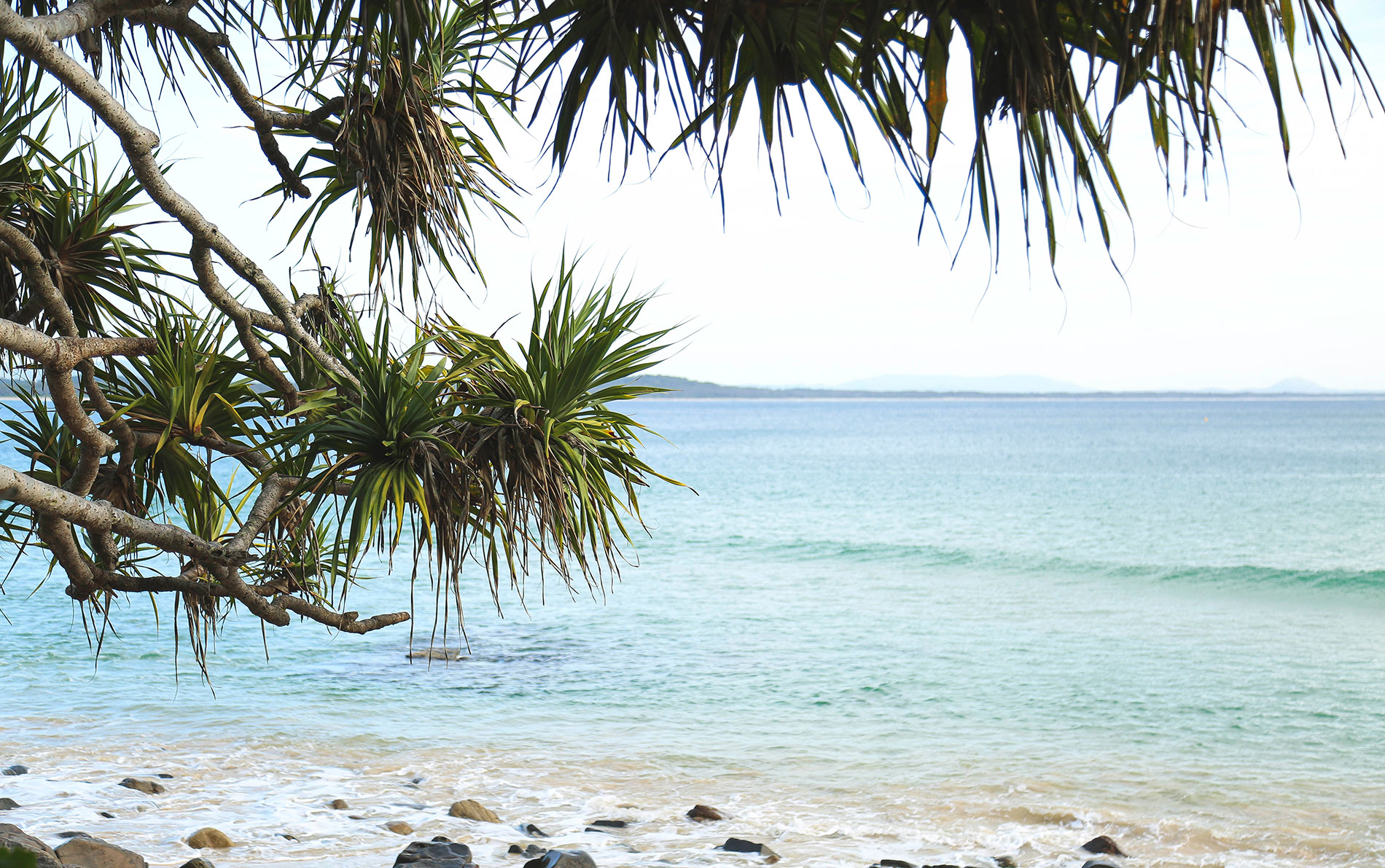 Best Accommodation In Noosa (5)